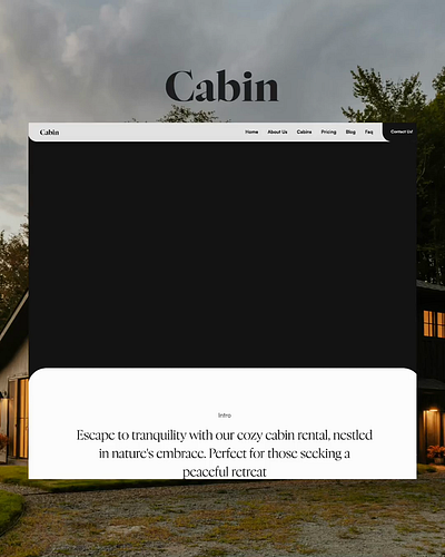 Cabin CMS a Short Rentals Template | Webflow agency business cms illustration portfolio template webflow webflow design webflow template