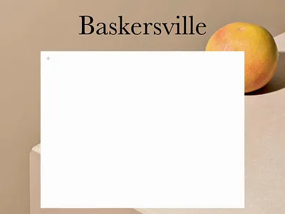 Baskersville LIVE VIDEO PREVIEW | Webflow Template agency branding business cms design illustration portfolio template ui webflow