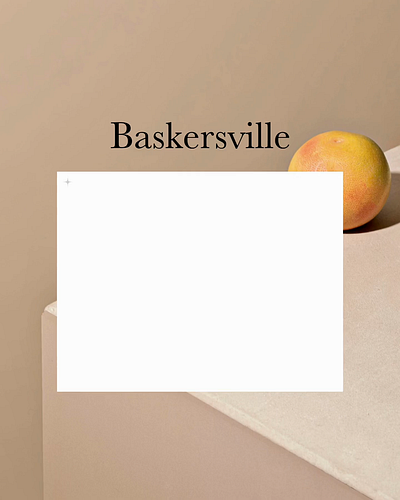 Baskersville LIVE VIDEO PREVIEW | Webflow Template agency branding business cms design illustration portfolio template ui webflow