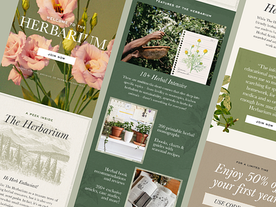 The Herbarium Email Design 🌱 email email design email marketing email newsletter email template emails floral flower green herbs klaviyo mailchimp natural nature newsletter newsletter template