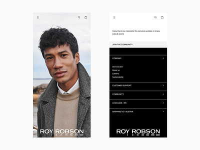 Roy Robson website minimalism web website