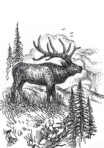 Deer artcommunity artinprogress artisticdiscovery artoftheday clouds creativecommunity creativeprocess deer designinspiration dribbble forestart graphicdesign hand drawn horns illustration mountainart natureart stag trees wildlifeart