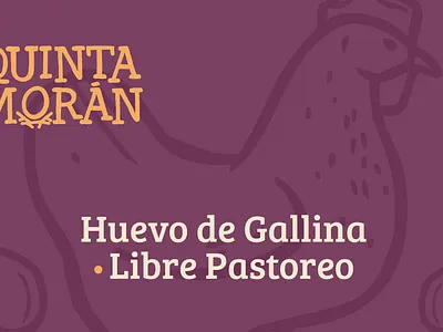 Quinta Morán - Branding Product Presentation branding graphic design logo