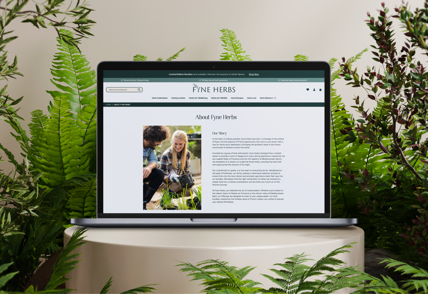 Example of Hybrid Store Design + Build On Shopify