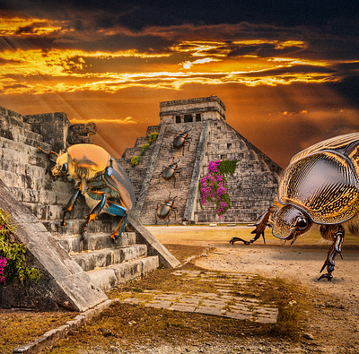 Ancient Mayan Beetles composite graphic design photoshop