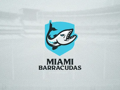 Miami Barracudas barracuda branding crest design fish florida football graphic design illustration logo miami