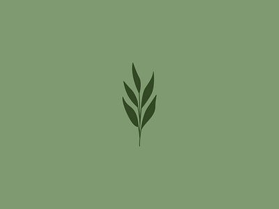 Plant Illustration graphic design green illustration leaf logo minimal modern plant