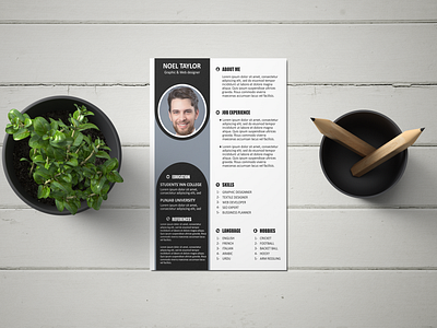 Design your cv 3d bi fold design branding business planner design business profiles design cv design flyer design graphic design logo design motion graphics post design tri fold design