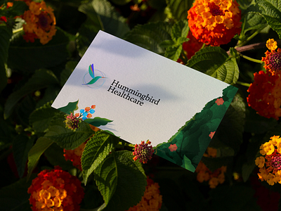 Hummingbird Healthcare - Branding brand identity branding business card flowers h logo healthcare healthcare brand identity humming logo hummingbird log illustration illustrations leaves logo logo design