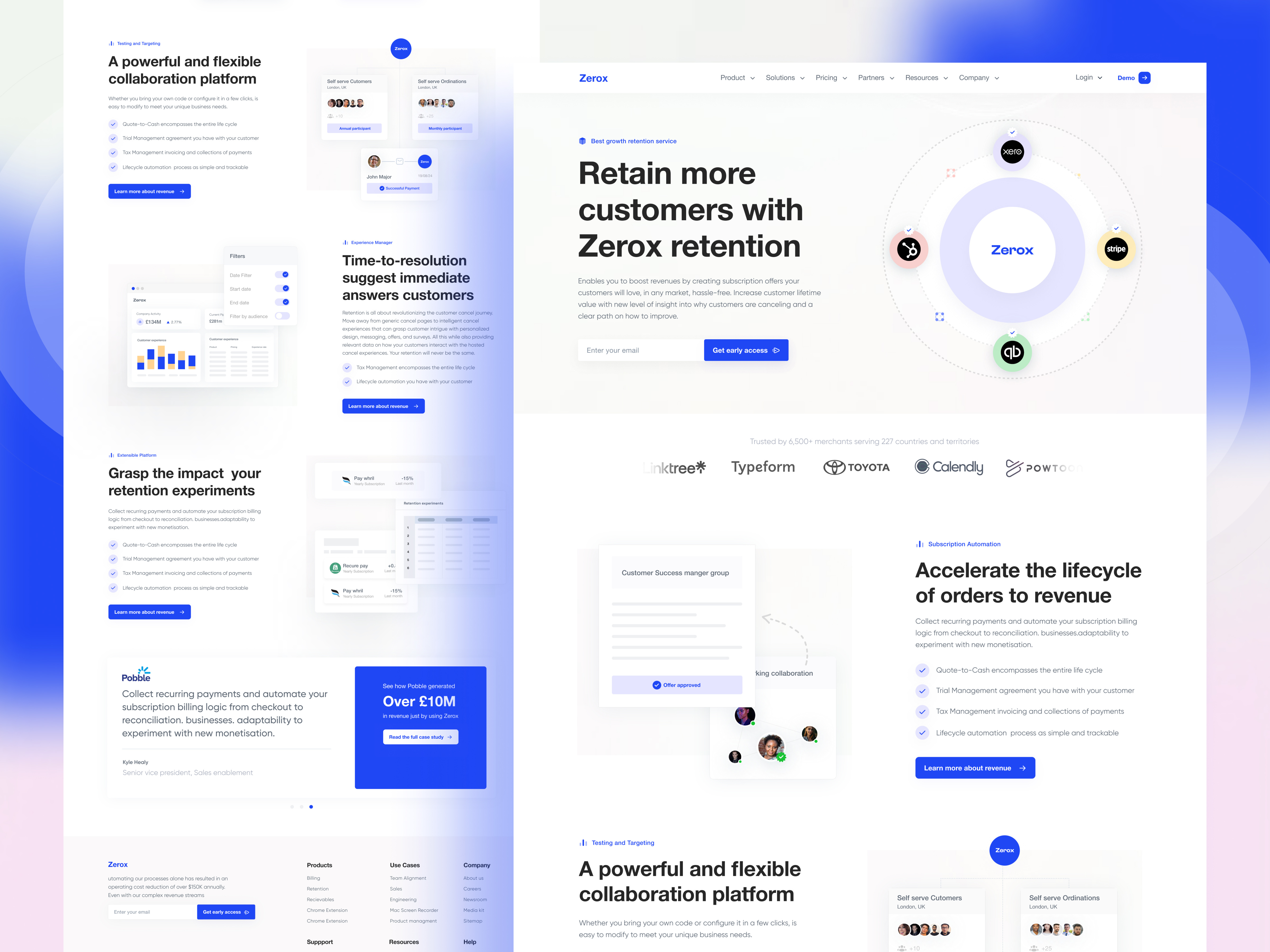Example of Saas Website / Web Design (10 Pages)