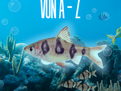 Aquarium knowledge Book about specific kind of fish book cover ebook design print design