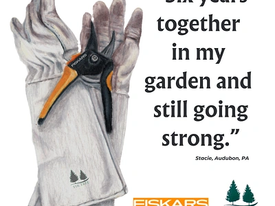 Fiskars and Fir Tree Gloves ad - illustration by Stacie Dale advertisement colored pencil illustration editorial illustration fir tree gloves fiskars garden advertisement garden gloves garden tools gardening gardening illustration illustration magazine ad nature illustration tools