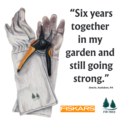 Fiskars and Fir Tree Gloves ad - illustration by Stacie Dale advertisement colored pencil illustration editorial illustration fir tree gloves fiskars garden advertisement garden gloves garden tools gardening gardening illustration illustration magazine ad nature illustration tools