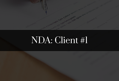 UI Design for NDA Client #1 desktop government ui design ux design website