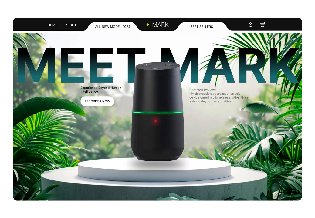 Example of Website Development