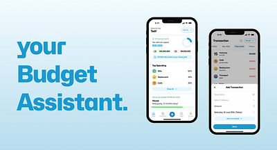 Budget Assistant - Expense Tracker mobile design ui