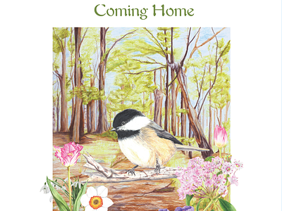 Songbird Stories: Tales from the Pennsylvania Woods Cover Design birds book cover design botanical illustration chickaee childrens book childrens book cover childrens book illustrator childrens picture book elementary education kidlit kids book illustrator nature illustrator nature theme illustration picture book illustrator realistic animal illustration science illustration songbirds