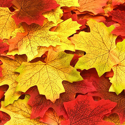 Autumn 3d animation graphic design motion graphics