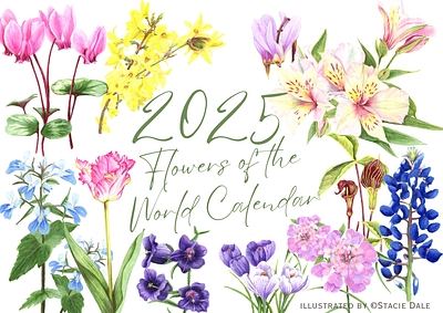 2025 Flowers of the World Calendar cover design analog art blue bonnets botanical illustration calendar cover colored pencil illustration crocus cyclamen editorial illustration environmental illustration floral illustration flower illustration forsythia hand drawn illustrated flowers nature based nature illustration prismacolor science illustration tulips wildflowers