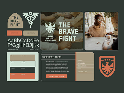 The Brave Fight - Branding americana brand branding counseling design development graphic design illustration logo military rod snake therapy web