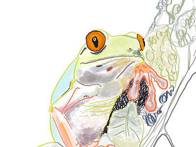 Froggy colorful colors drawing frog illustration nature procreate