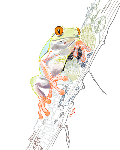 Froggy colorful colors drawing frog illustration nature procreate