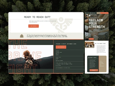 The Brave Fight - Web Design americana brand branding counseling design development graphic design illustration logo medical medicine military rod snake therapist therapy veterans vintage web