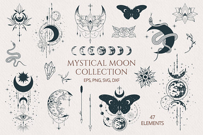 Hand Drawn Mystical Moon Collection 3d animation app branding design graphic design illustration logo motion graphics typography ui ux vector