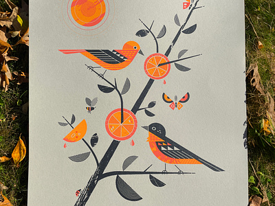 Parks Poster 2024 bee bird birds butterfly illustration illustrator lady bug mpls mpls parks neon pantones orange oriole poster posters for parks screenprint sun