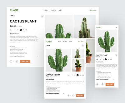 Plant website product page app appdesign cactus design ecommerce ecommerce app design plant plant website product product details page product page ui ui.jaymez uiux web web design