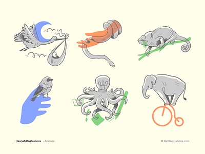 Animal illustrations - Hannah animals bird chameleon design elephant getillustrations hannah icons illustration minimal design octopus outline pets snake spot illustrations ui ui icons vector icons vector illustrations website illustrations