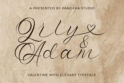 Lily Adam - Valentine Elegant Font cursive font