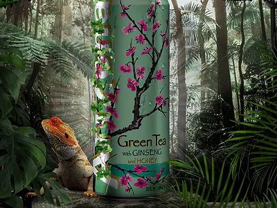 Arizona design graphic design illustration