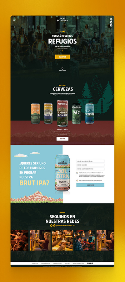 Craft Beer Patagonia Homepage design ui uidesign web web design web designer webdesign website design