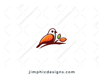 Bird Logo bird branding design graphic design logo logo design vector