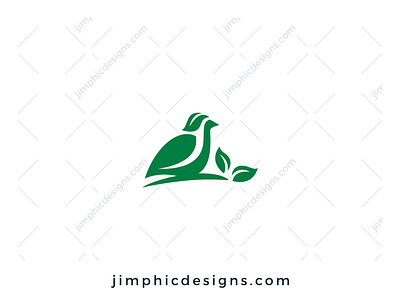 Bird Leaf Logo bird branding design graphic design leaf leaves logo logo design nature vector