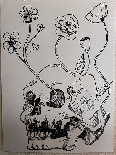 Skull - Pen