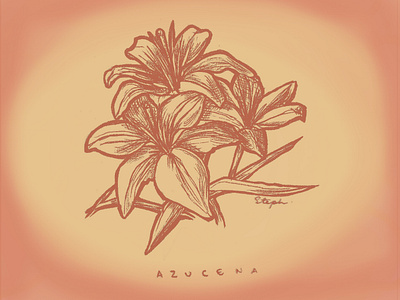 Azucena ilustración natural adobephotoshop aura colombia dibujo analogo dibujo natural flores flower illustration handcrafted handmade illustration ilustración ilustración análoga latin creativity latin illustration natural illustration nature warm color warm coloured illustration