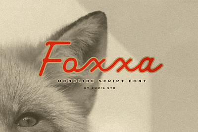 Foxxa Font font handlettering handwritten lettering monoline retro script typeface typography vintage