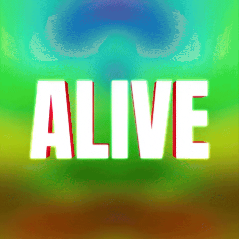 Alive typographic GIF animation design gradient kinetic motion motion graphics typography