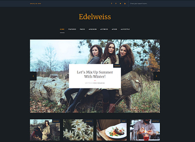 Concept: Never Released Edelweiss WordPress Theme 2016 app blog branding design elegant graphic design logo magazine minimal modern ui ux web