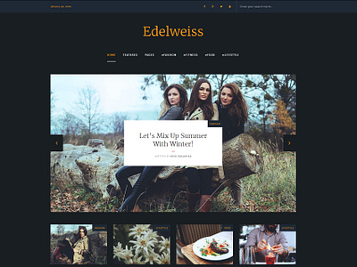 Concept: Never Released Edelweiss WordPress Theme 2016 app blog branding design elegant graphic design logo magazine minimal modern ui ux web