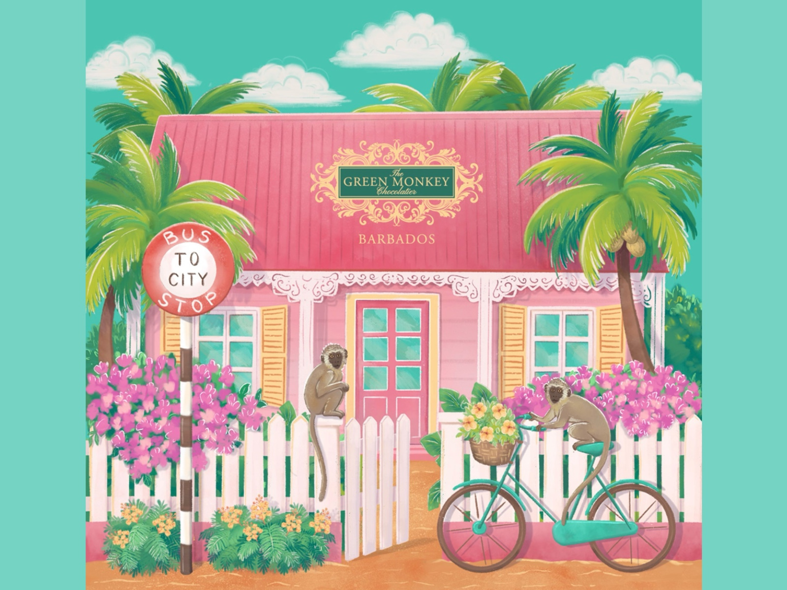 Example of Colorful Packaging Illustration