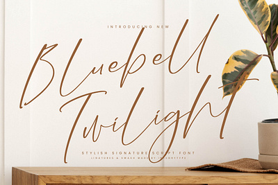 Bluebell Twilight - Stylish Signature Font style