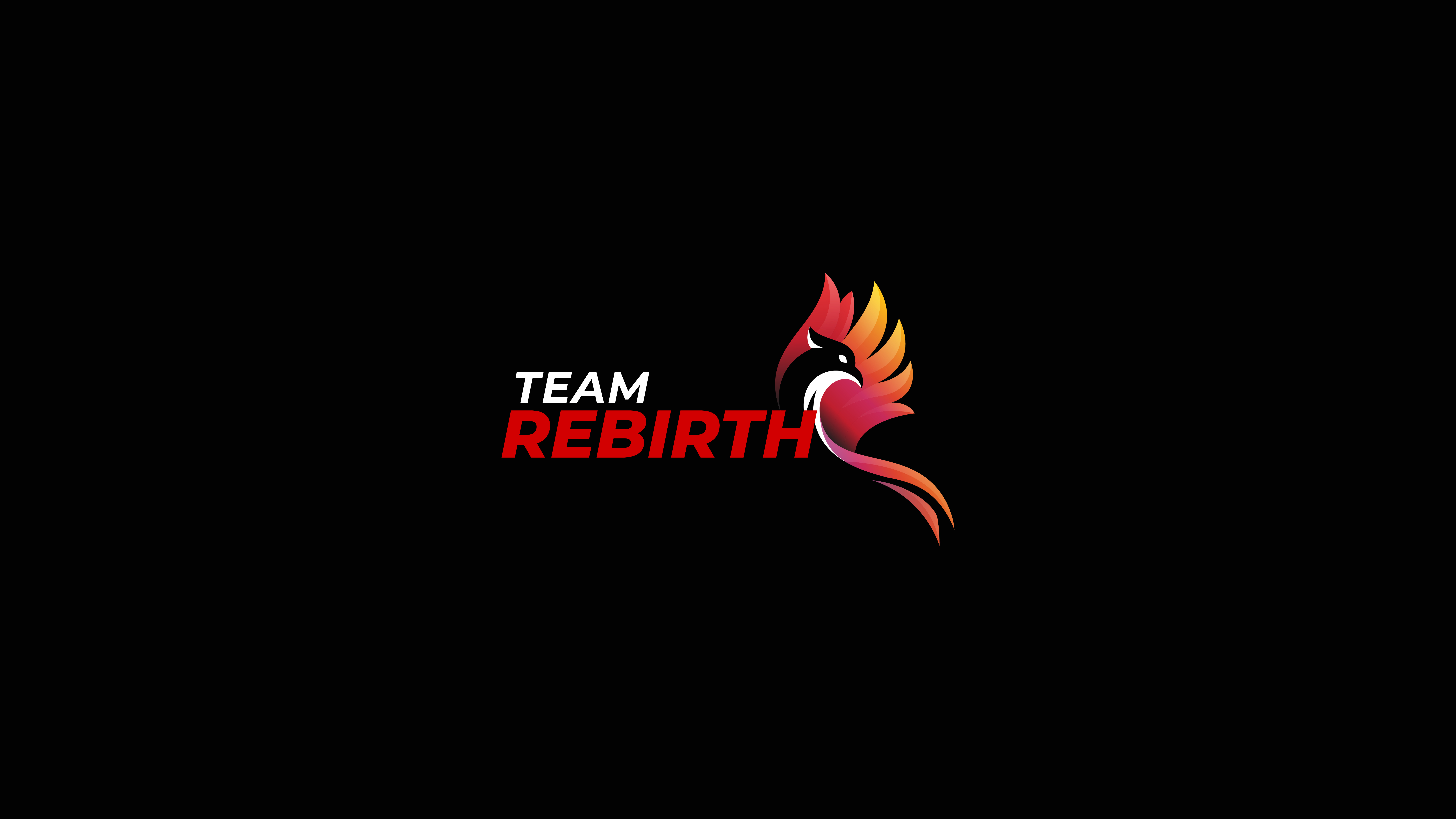 Team Rebirth - Brand Identity Design branding graphic design logo