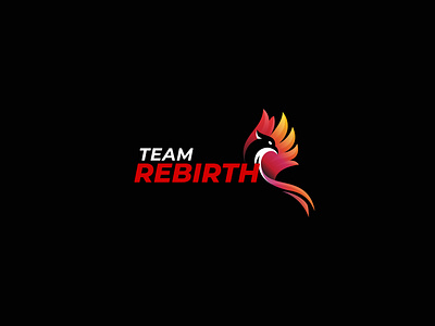 Team Rebirth - Brand Identity Design branding graphic design logo