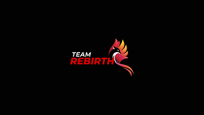 Team Rebirth - Brand Identity Design branding graphic design logo