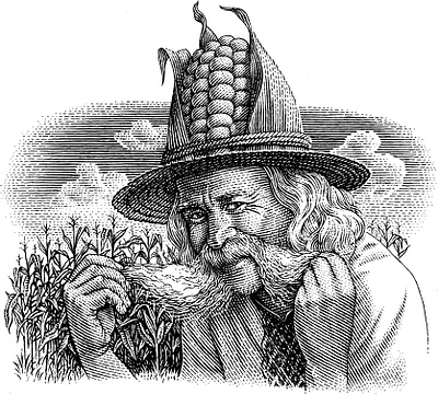 Corn black and white engraving illustration oldman portrait scratchboard woodcut