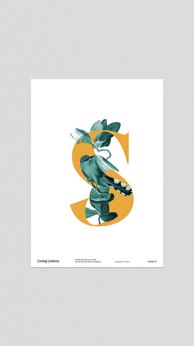 Letter Poster B collage illustration letters poster posterdesign type typography