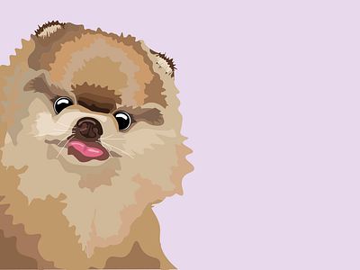 Little Pomeranian, named Sandy design graphic design illustration ui vector visual